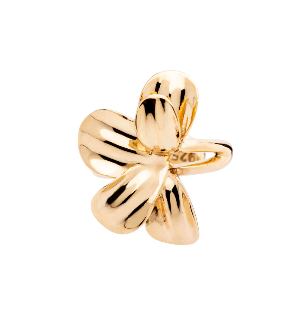 Piercing Aflorar - Imagem 4