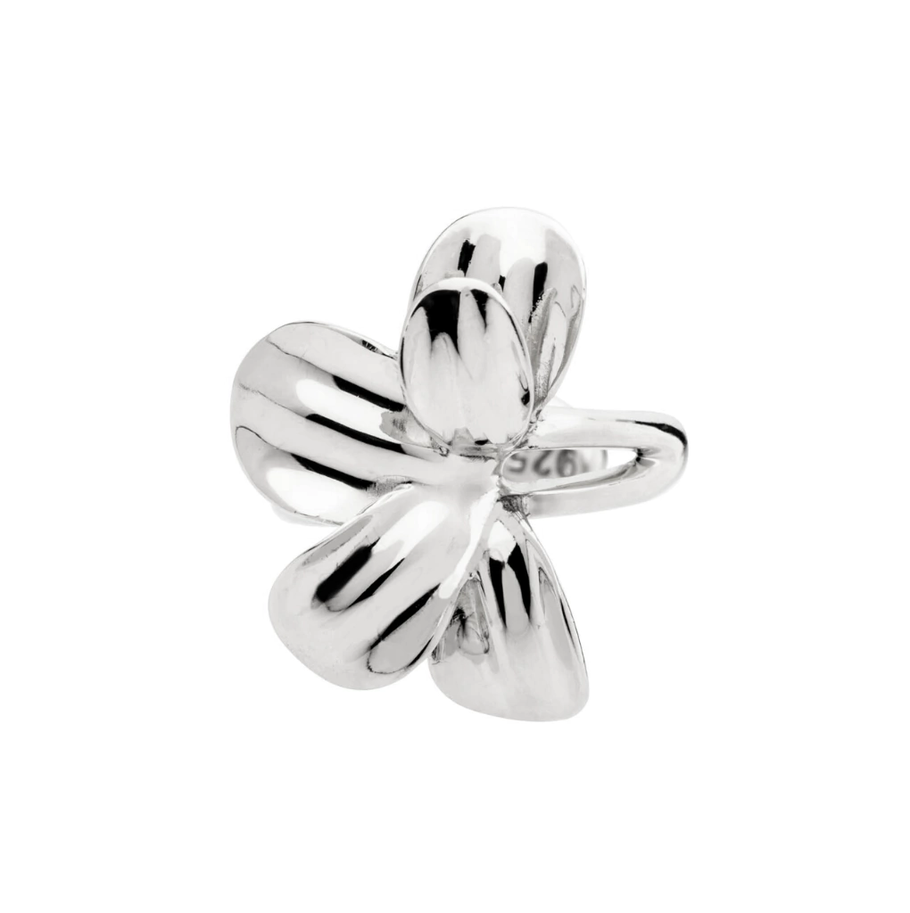 Piercing Aflorar - Imagem 3