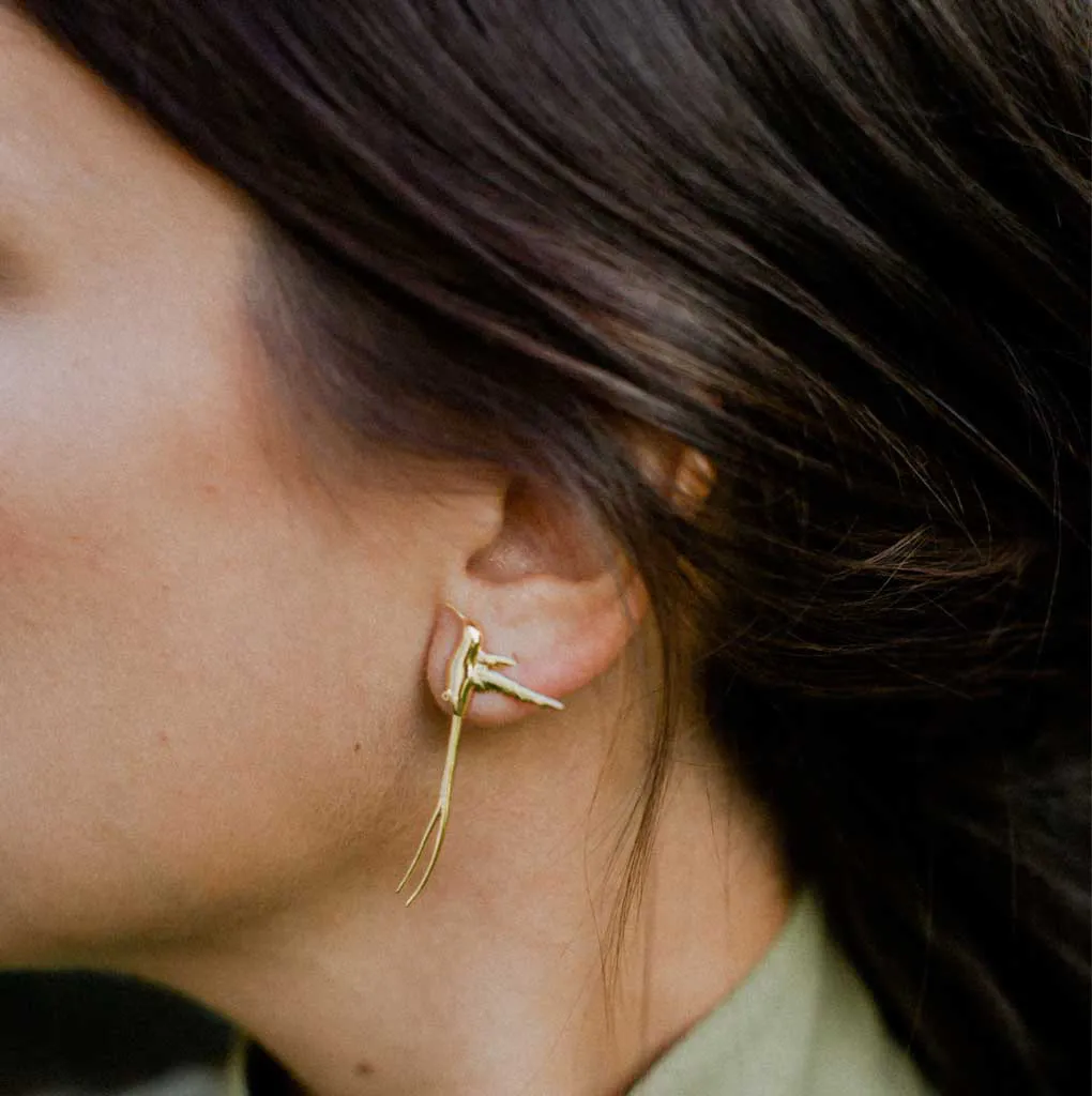 Brinco Doctor Bird - Imagem 2